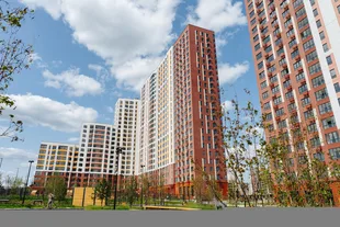 Квартира 1-комн. квартира, 36.2 м² ЖК «1-й Донской» Фото 12 Квартира 1-комн. квартира, 36.2 м² ЖК «1-й Донской» Фото 12