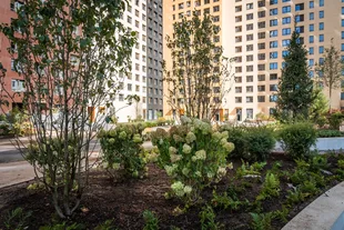 Квартира 1-комн. квартира, 39.9 м² ЖК «Sky Garden» Фото 2