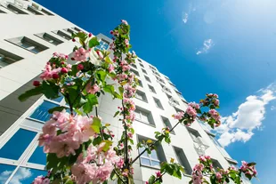 Квартира 2-комн. квартира, 38.28 м² ЖК «Лето» Фото 27 Квартира 2-комн. квартира, 38.28 м² ЖК «Лето» Фото 27