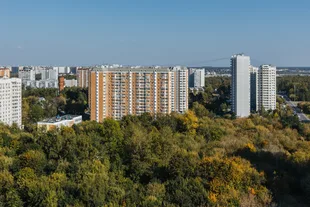 Квартира 3-комн. квартира, 84.2 м² ЖК «1-й Лермонтовский» Фото 19 Квартира 3-комн. квартира, 84.2 м² ЖК «1-й Лермонтовский» Фото 19