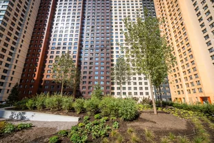 Квартира 1-комн. квартира, 39.9 м² ЖК «Sky Garden» Фото 3