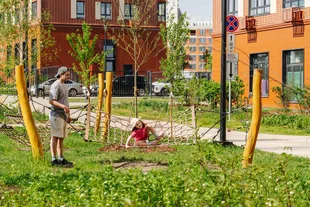 Квартира Студия, 23.1 м² ЖК «1-й Донской» Фото 6 Квартира Студия, 23.1 м² ЖК «1-й Донской» Фото 6