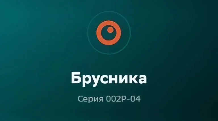Брусника не учла, что банк проводит транзакции дольше чем день в день и просрочила погашение купона