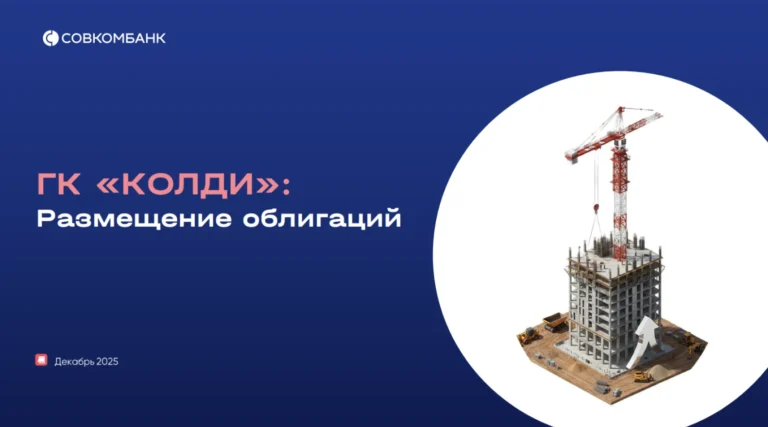 Общая сумма долга «Колди» к 2028 году может достигнуть рекордных 141 млрд рублей