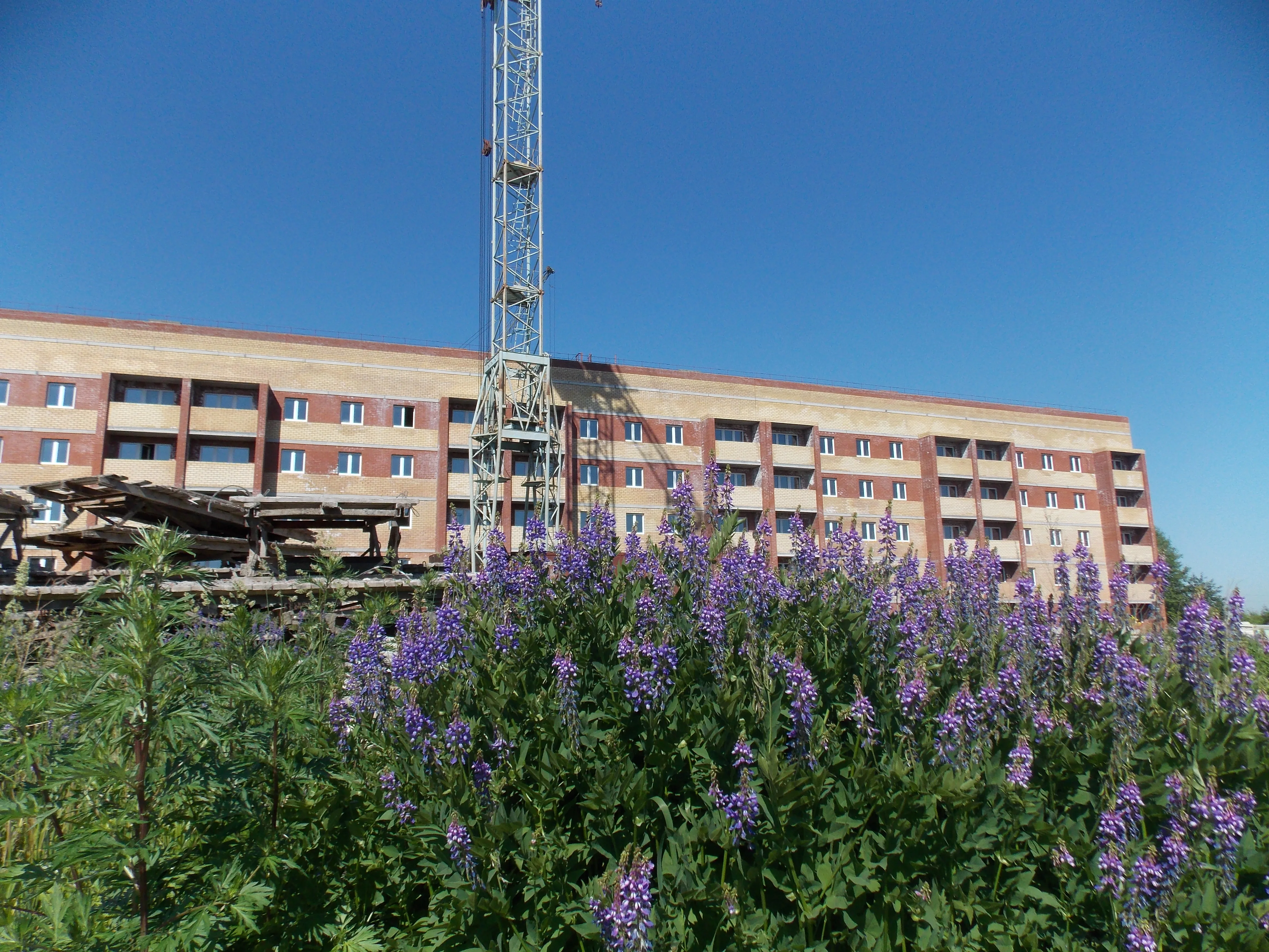 ЖК «Первоцветы»